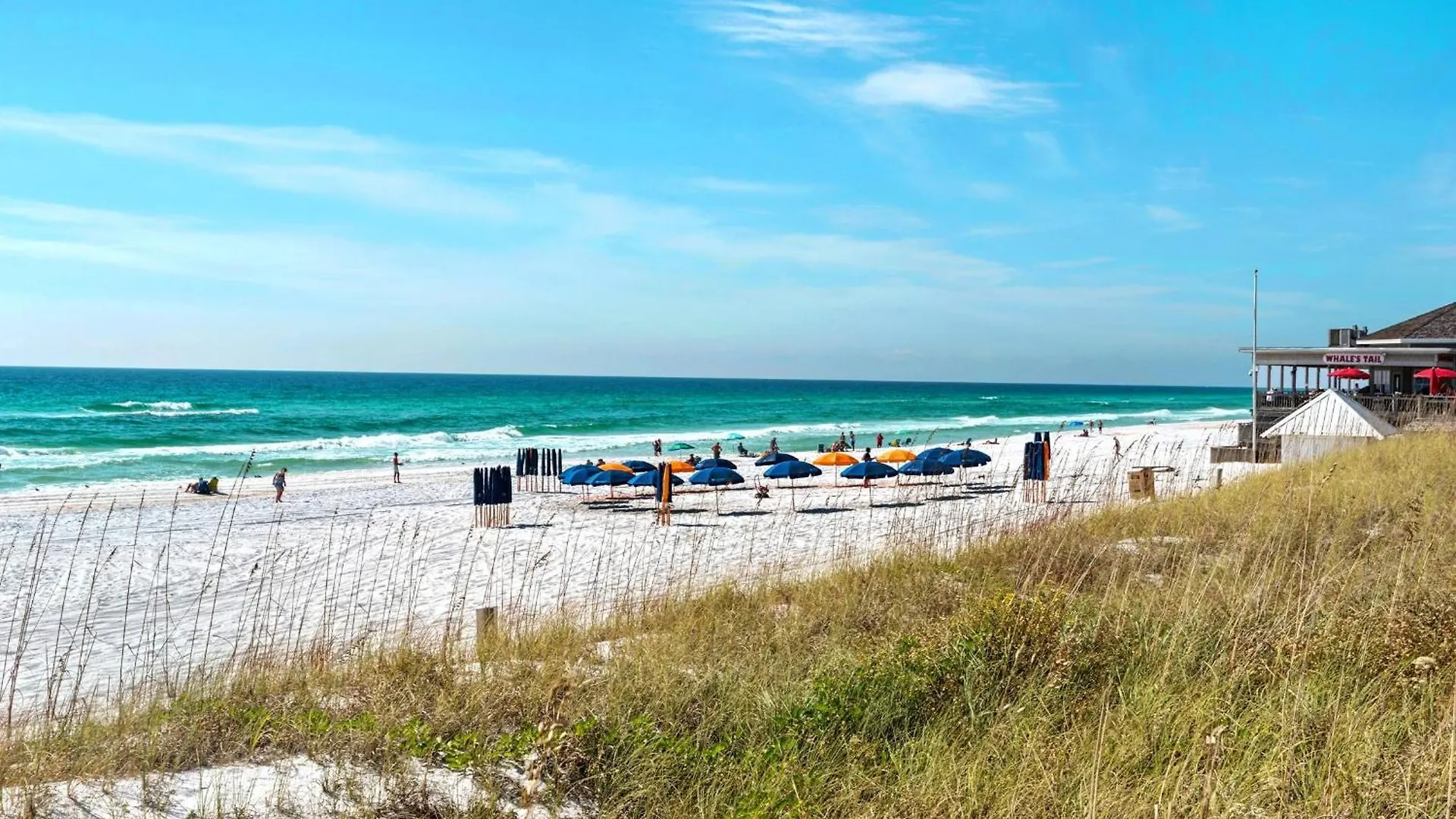 Ariel Dunes II 402 Destin